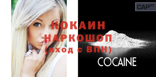 винт Ладушкин