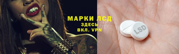 гидра Кукмор